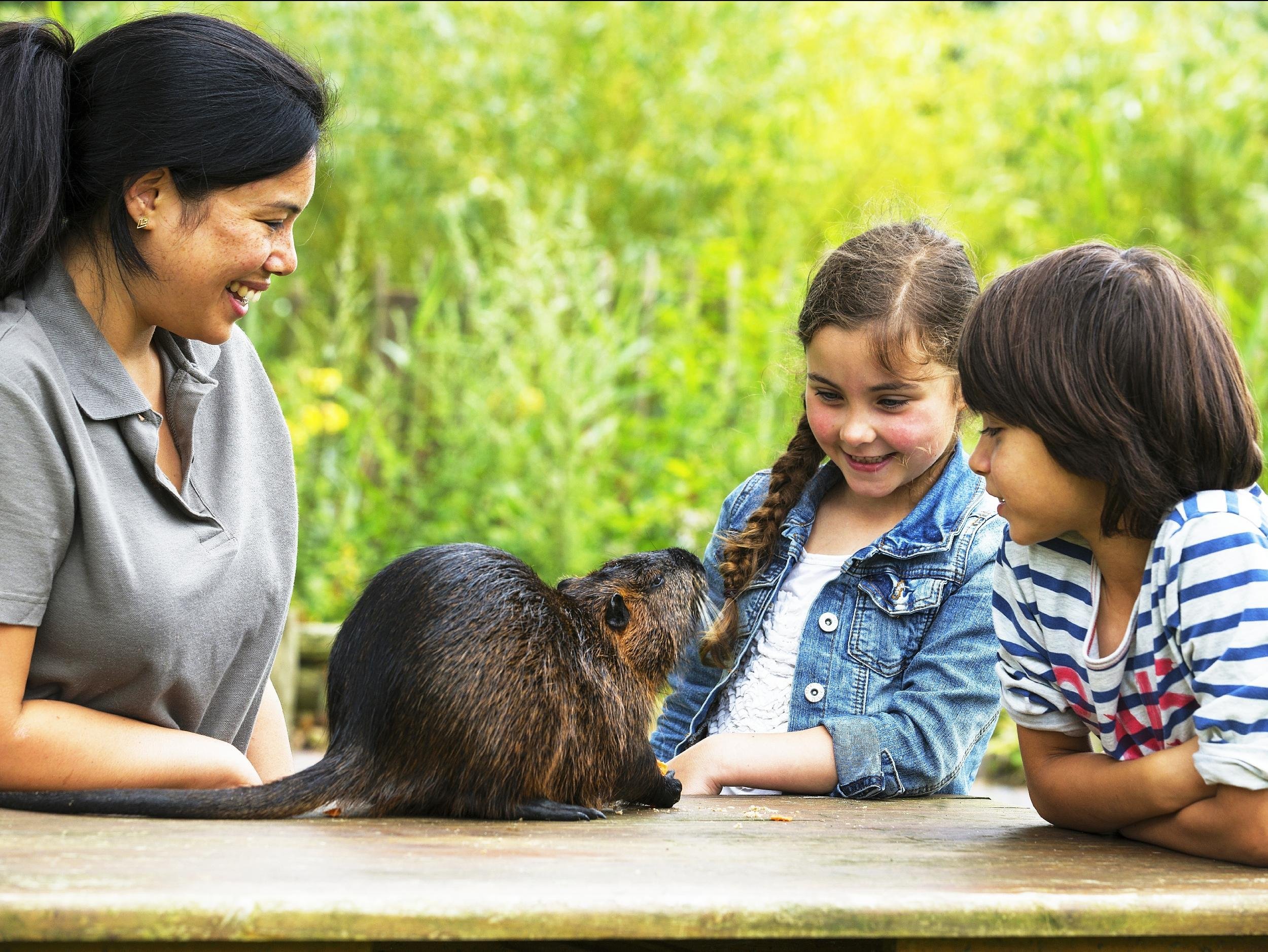 Ouwehands Dierenpark