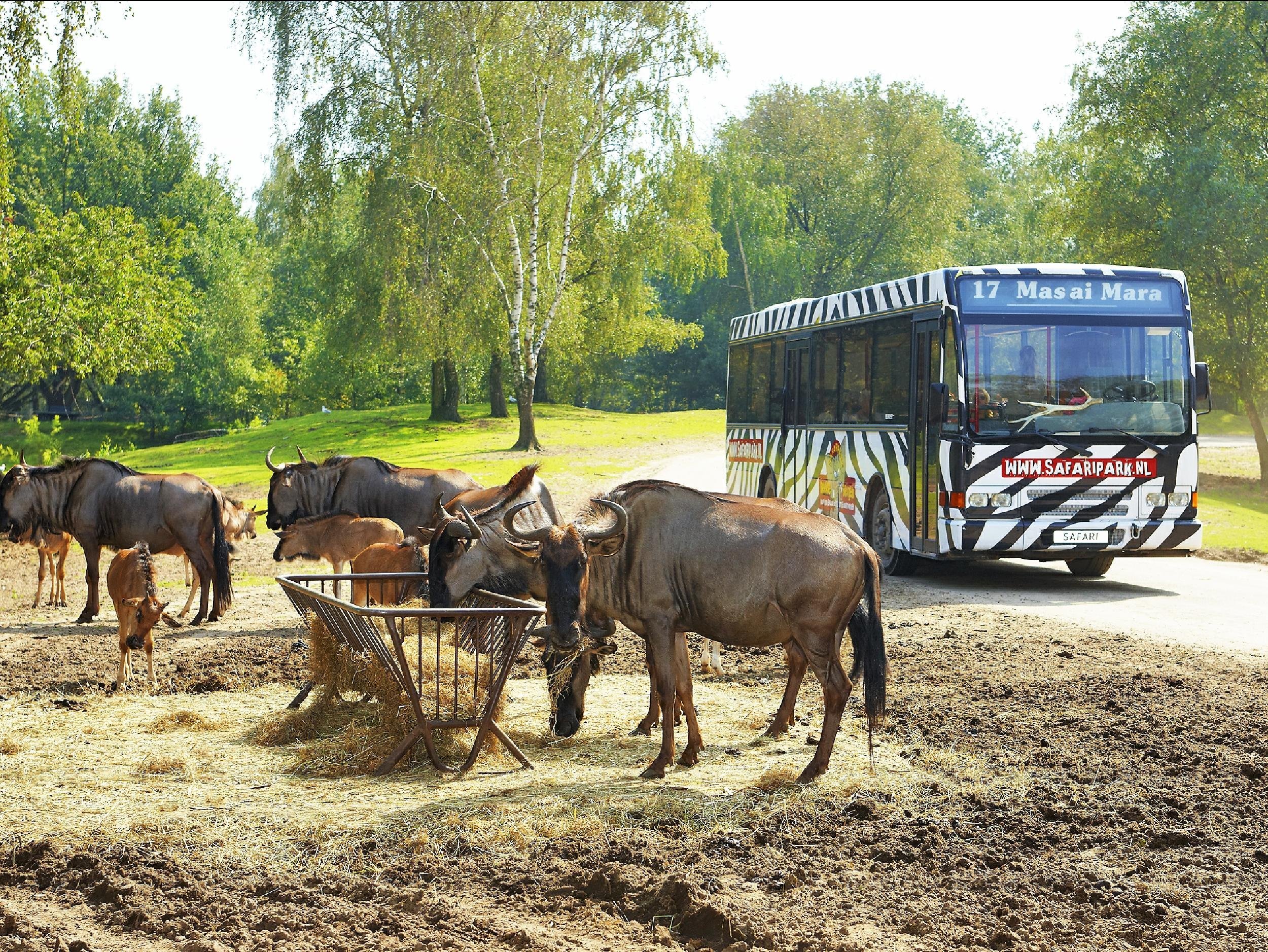 Beekse Bergen