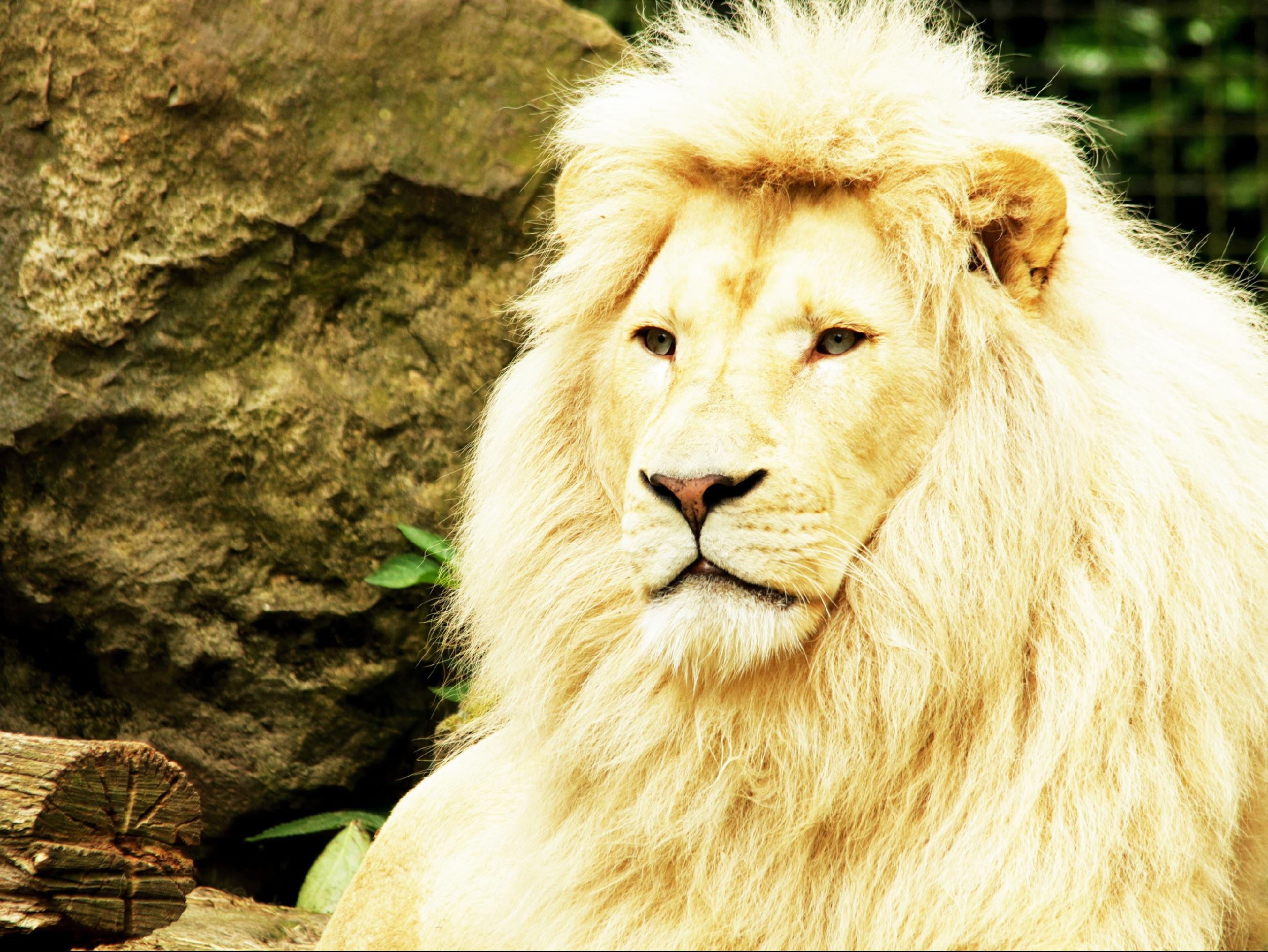 Ouwehands Dierenpark