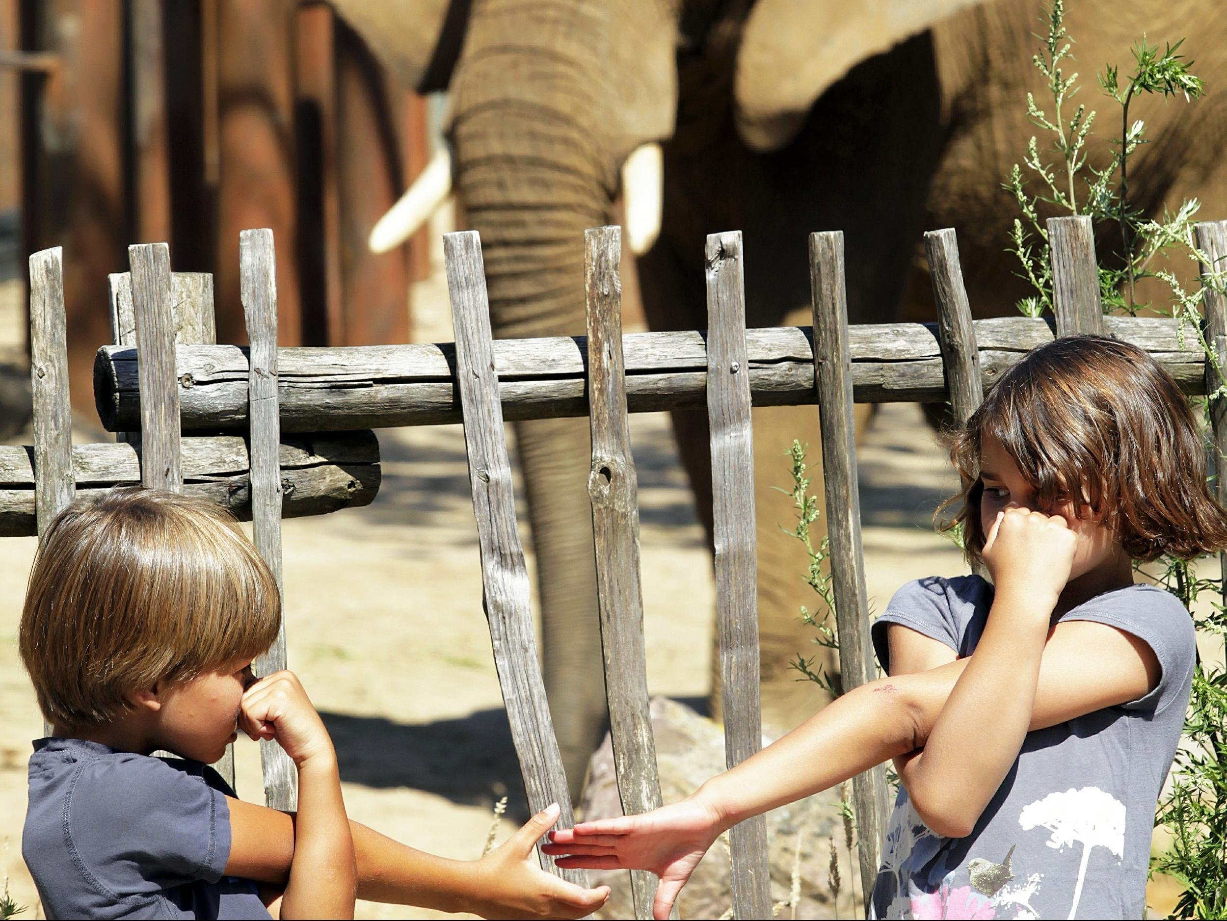 Ouwehands Dierenpark