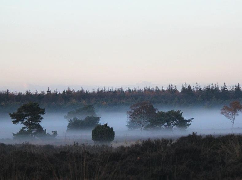 De Veluwe