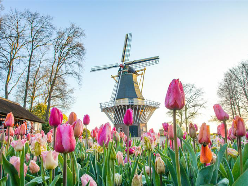 Keukenhof