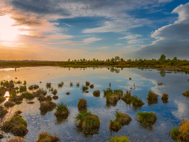 Schoolreis Belgische Ardennen
