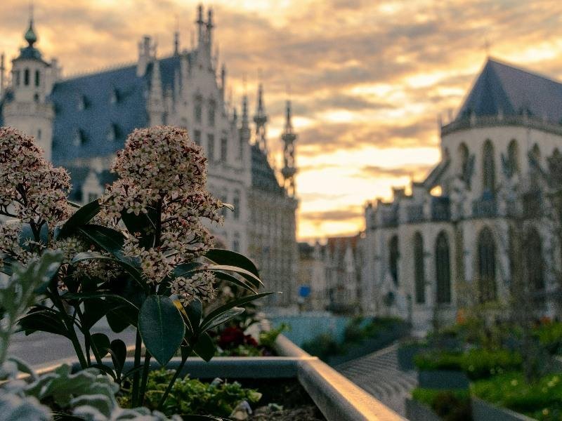 Rotterdampas Dagtocht Leuven