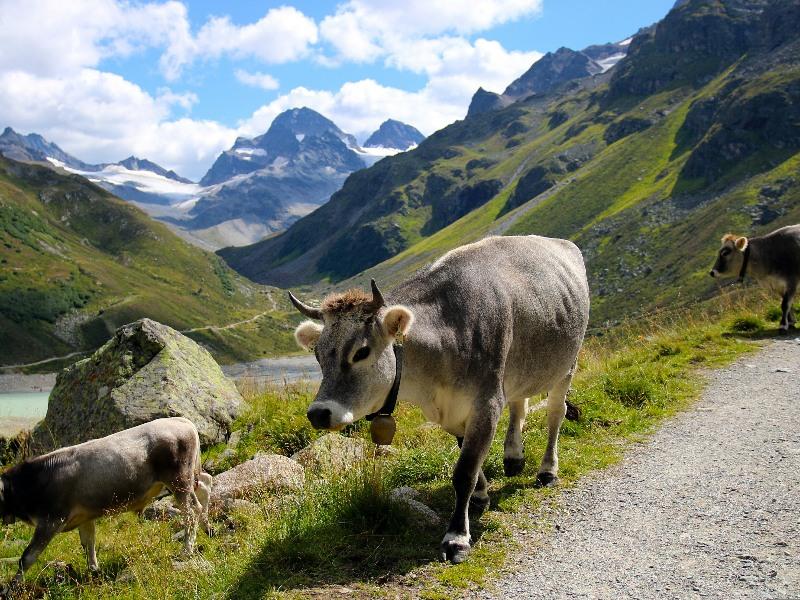 Groepsreis Tirol