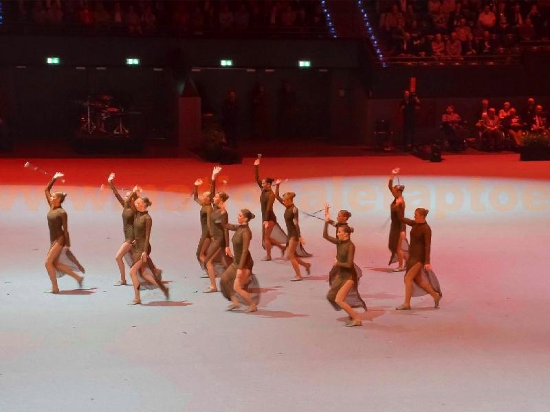 Groepsreis Nationale Taptoe