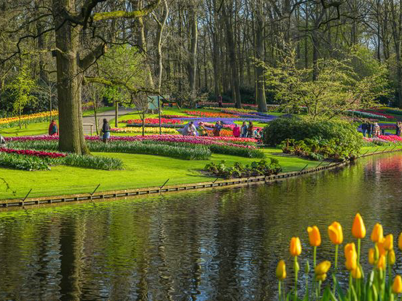 Keukenhof