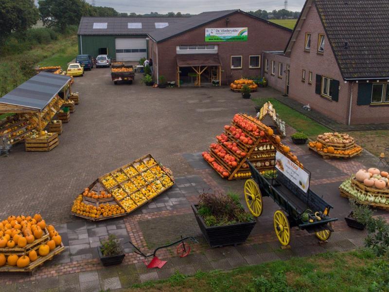 Pompoenen