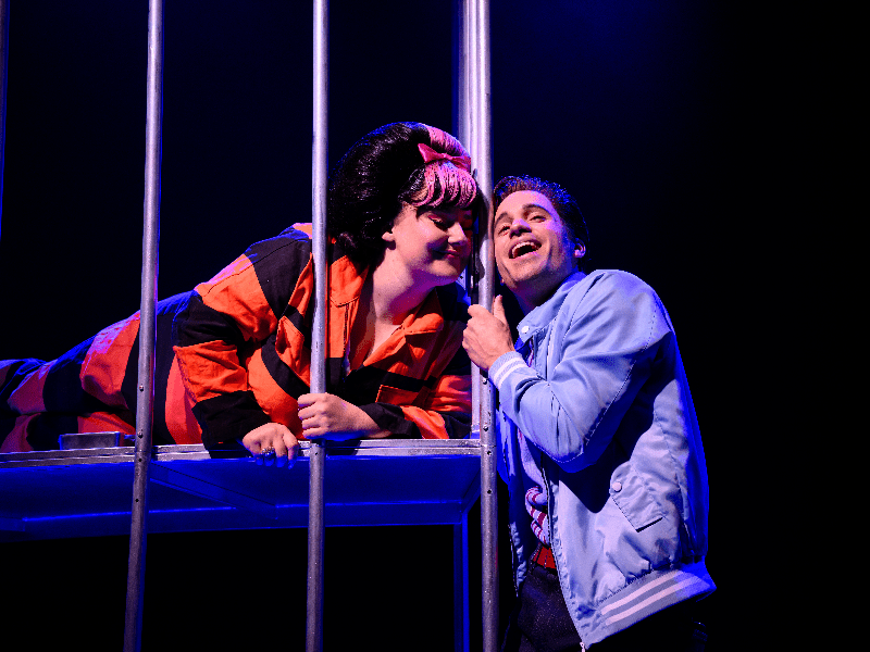 HAIRSPRAY de musical