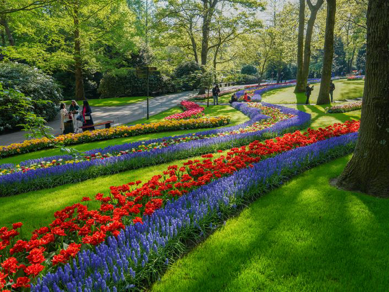 Keukenhof