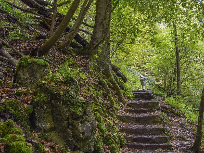 Groepsreis Luxemburg
