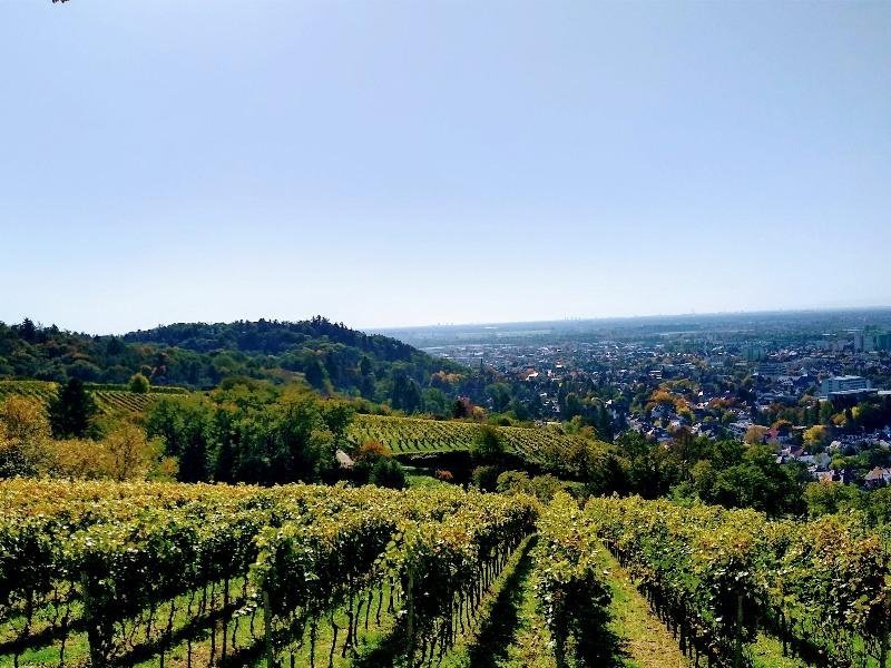 Groepsreis Sauerland