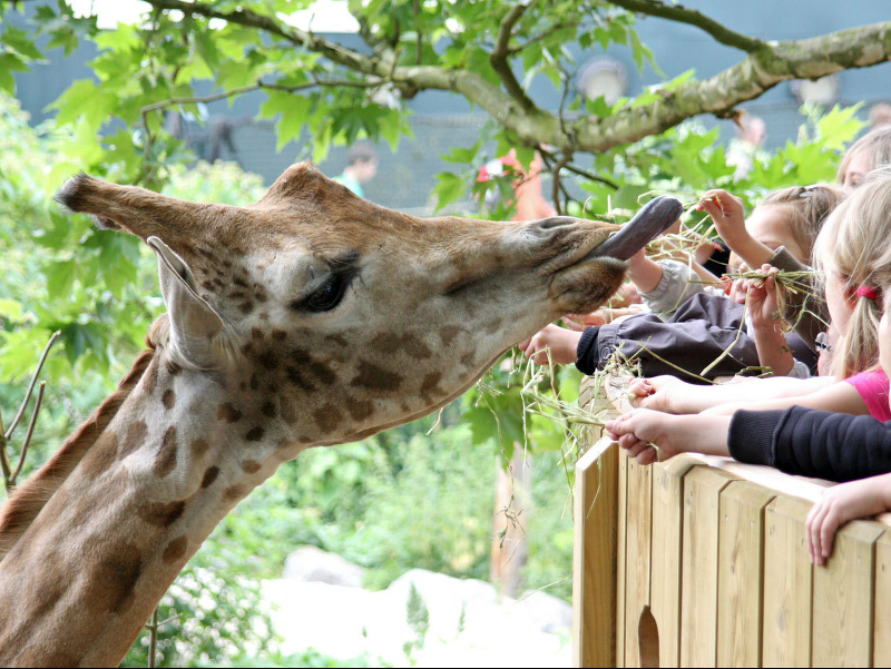 Pairi Daiza