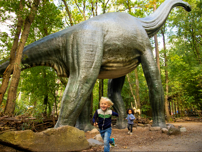 Dierenpark Amersfoort