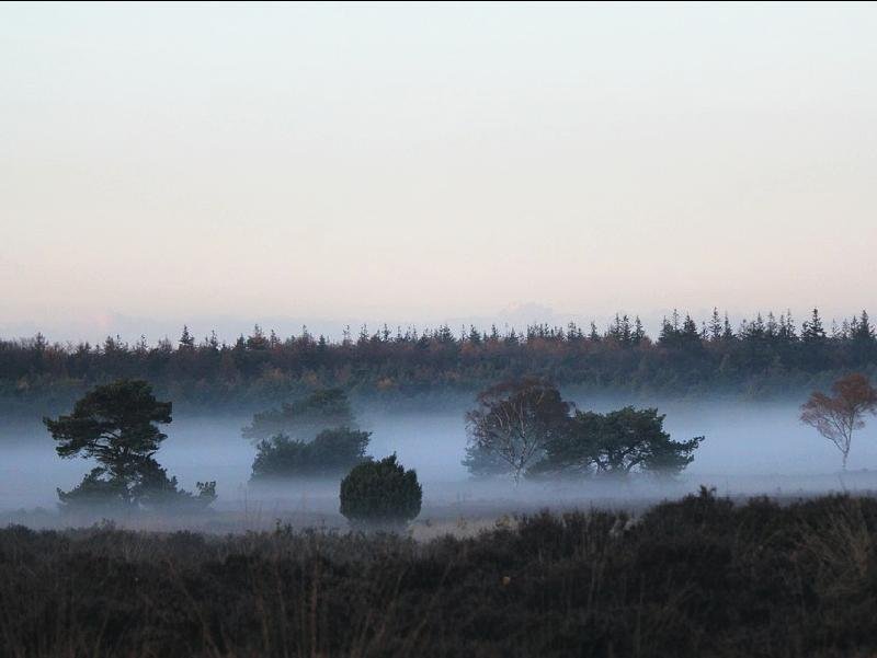 Veluwe