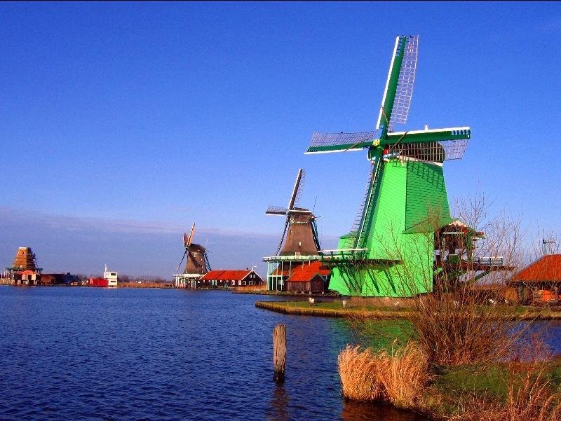 Zaandam 