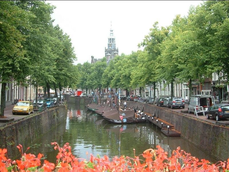 Gouda