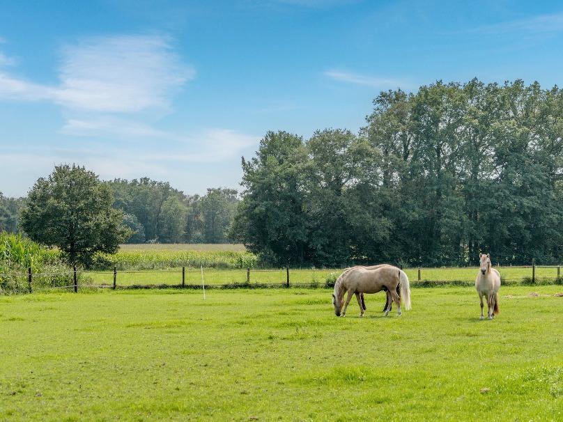 Enjoyhotel Hof van Twente