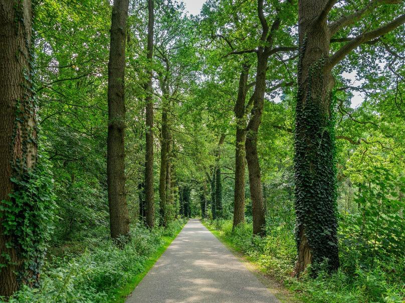 Enjoyhotel Hof van Twente