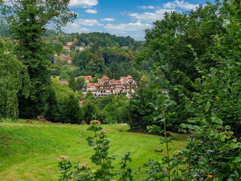 Enjoyhotel Des Vosges – Elzas