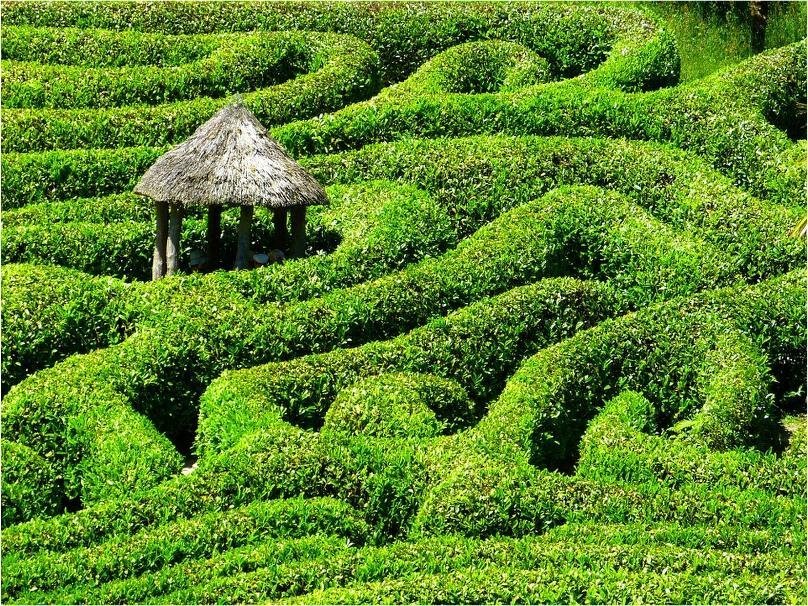 Groepsreis Engeland
