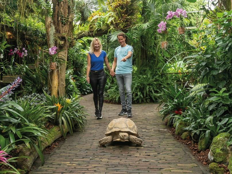 Dagtocht Pantropica