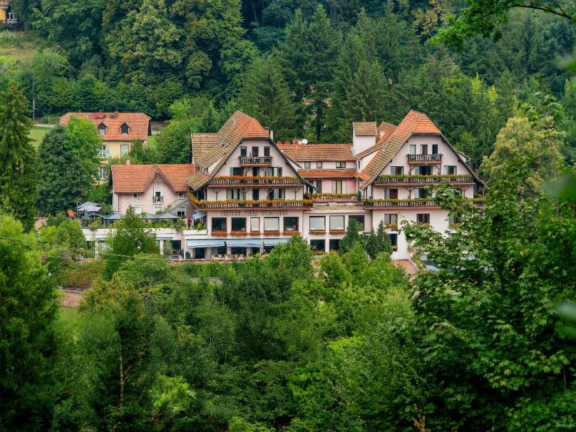 Enjoyhotel Des Vosges – Elzas